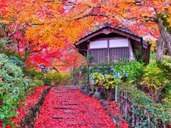 風景２５１ 寺　秋