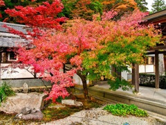 風景２５３ 寺　秋