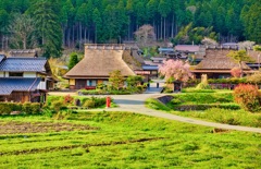 日本風景９１１　京都美山　春