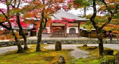 風景２４６　山寺　秋