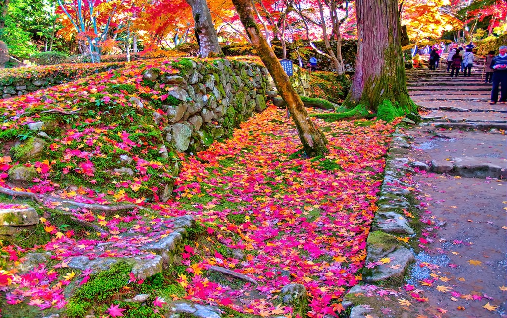 風景３１７ 寺　秋
