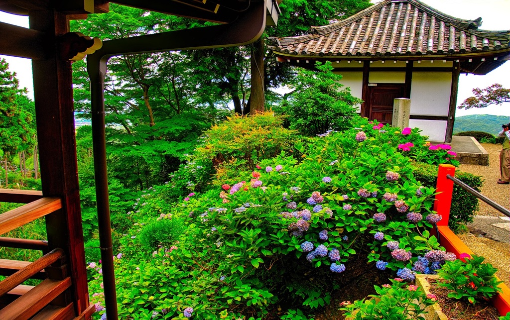 風景７０２　寺　庭