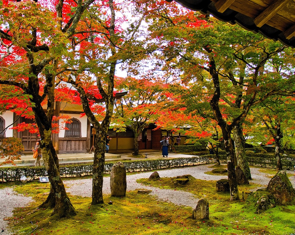 風景２５２ 寺　秋