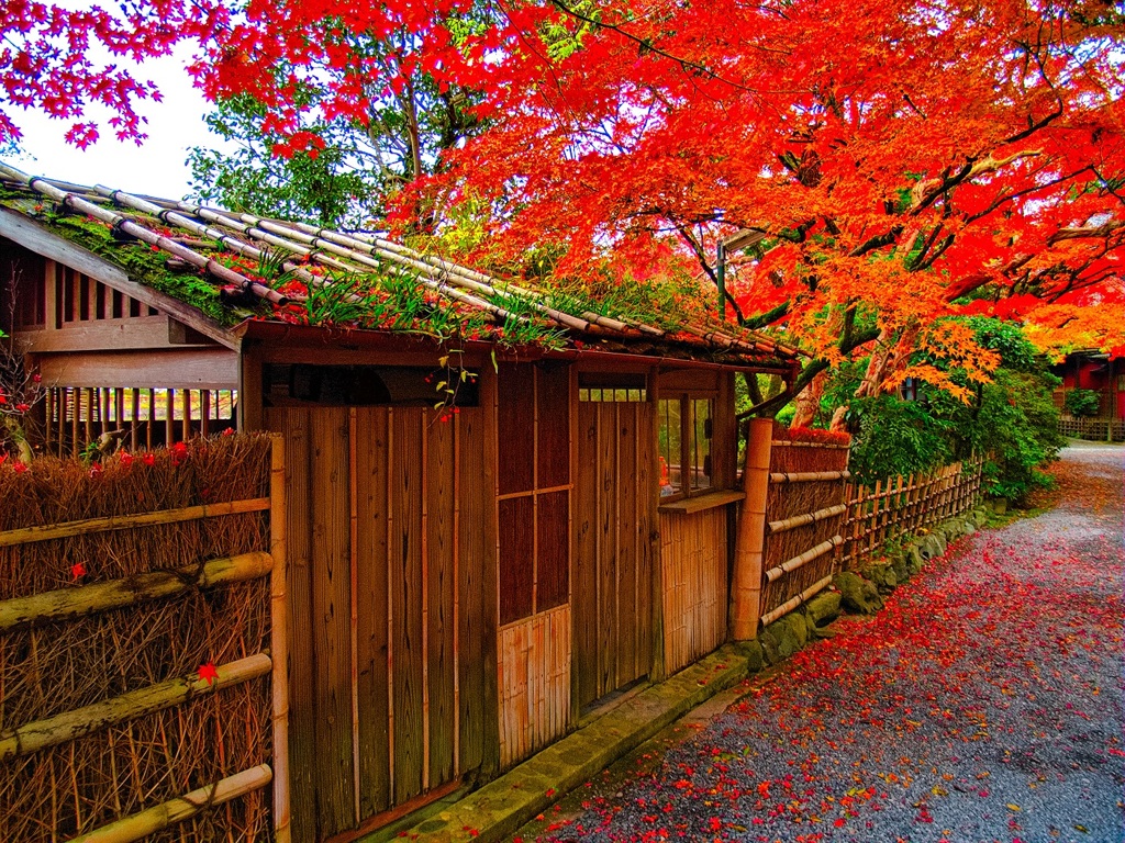 風景２９４ 寺　秋