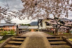 日本風景９００　桜と橋と