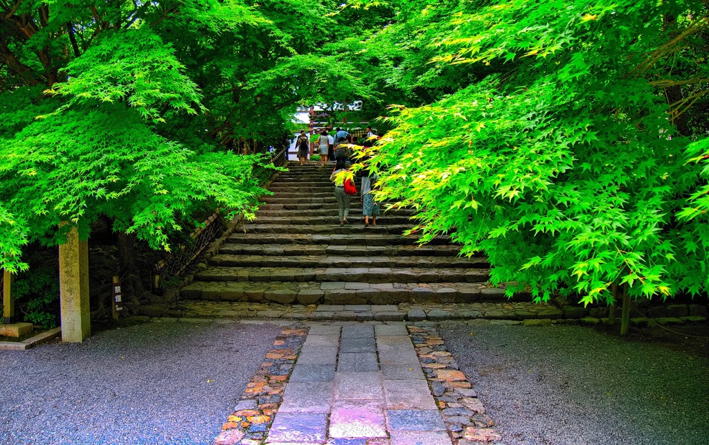 風景６５２　京都