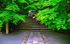 風景６５２　京都