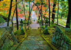 風景２１７　山寺 秋