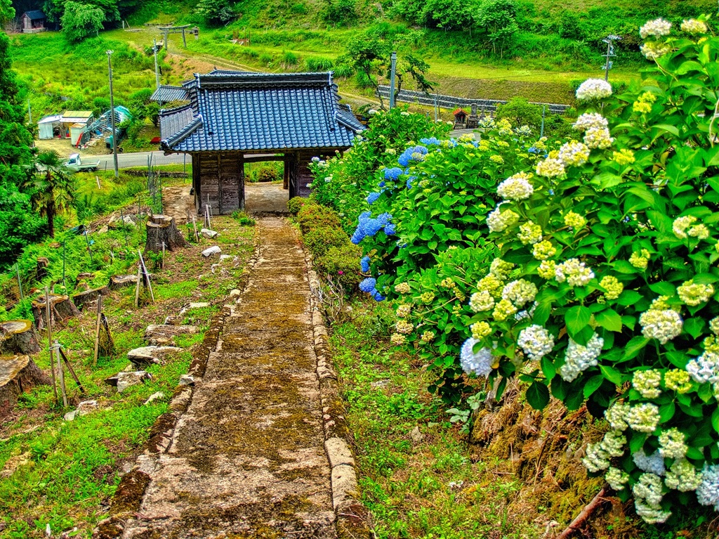 風景６８４　山寺　門