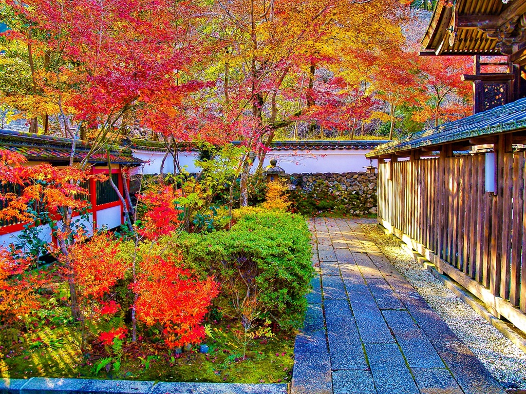 風景２２５　山寺　 秋