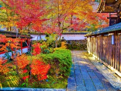 風景２２５　山寺　 秋