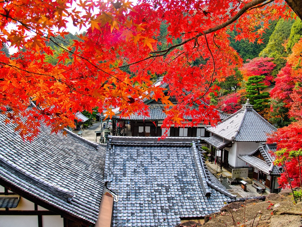 風景２７２ 寺　秋
