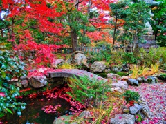 風景２７０ 寺　秋