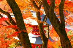 日本風景１０３２ 秋