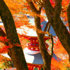 日本風景１０３２ 秋