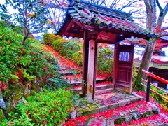 風景２５４ 寺　秋
