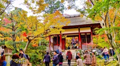 風景１８３　京都　秋　