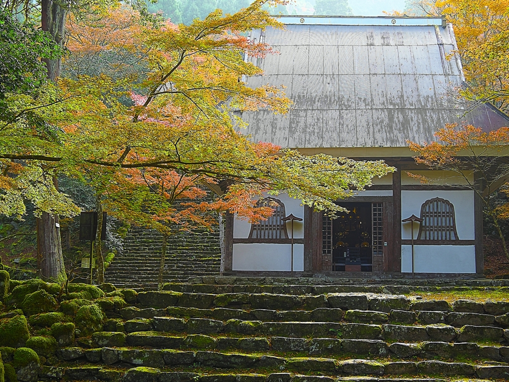 日本風景１２４４　紅葉