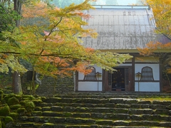 日本風景１２４４　紅葉