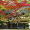 日本風景１２４２ 紅葉