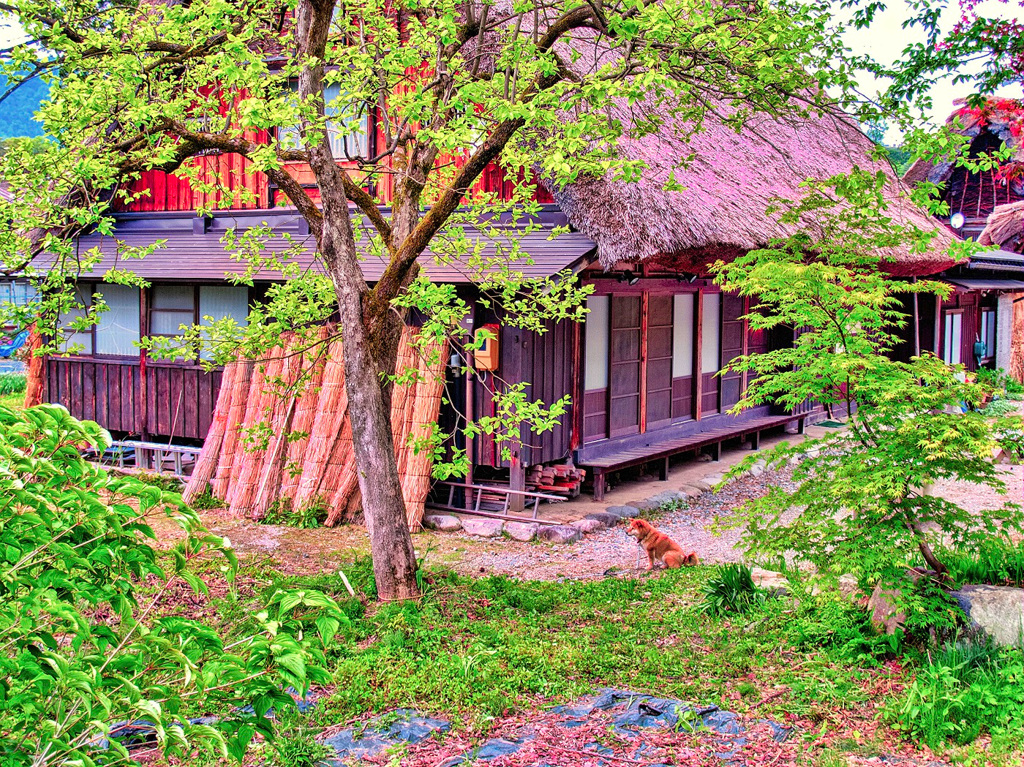風景６７４　白川郷