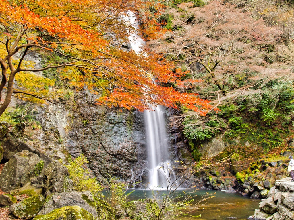 風景２０７　滝　 秋
