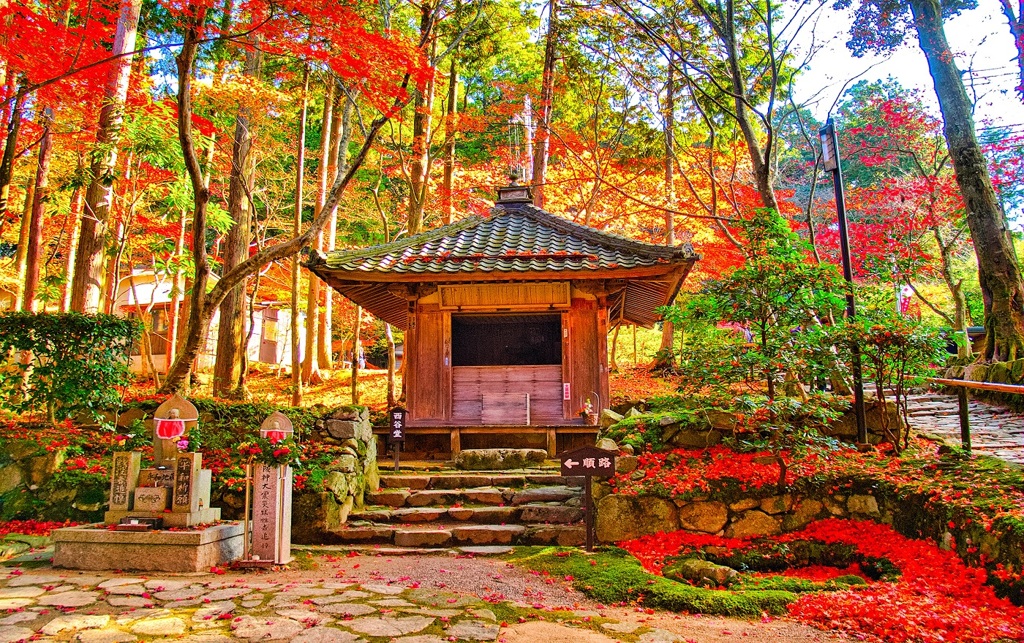 風景２７１ 寺　秋