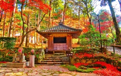 風景２７１ 寺　秋