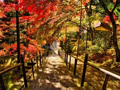 風景２５５ 寺　秋