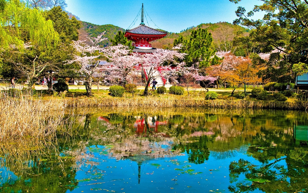 風景６７７　京都　