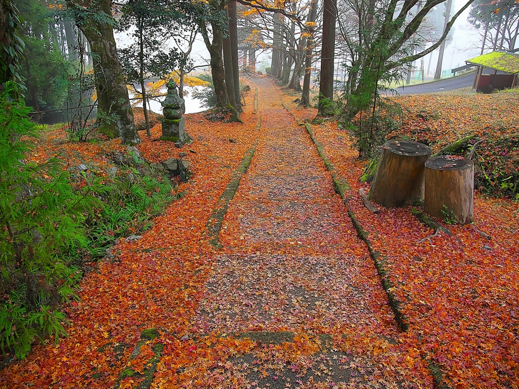 日本風景１５０９　紅葉