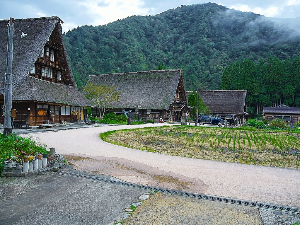 日本風景１２２６　茅葺