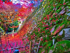 風景３２８ 寺　秋