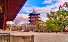 風景６５１　京都