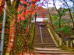 風景３３９ 寺　晩秋