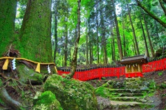 日本風景８０ ３　京都　神社