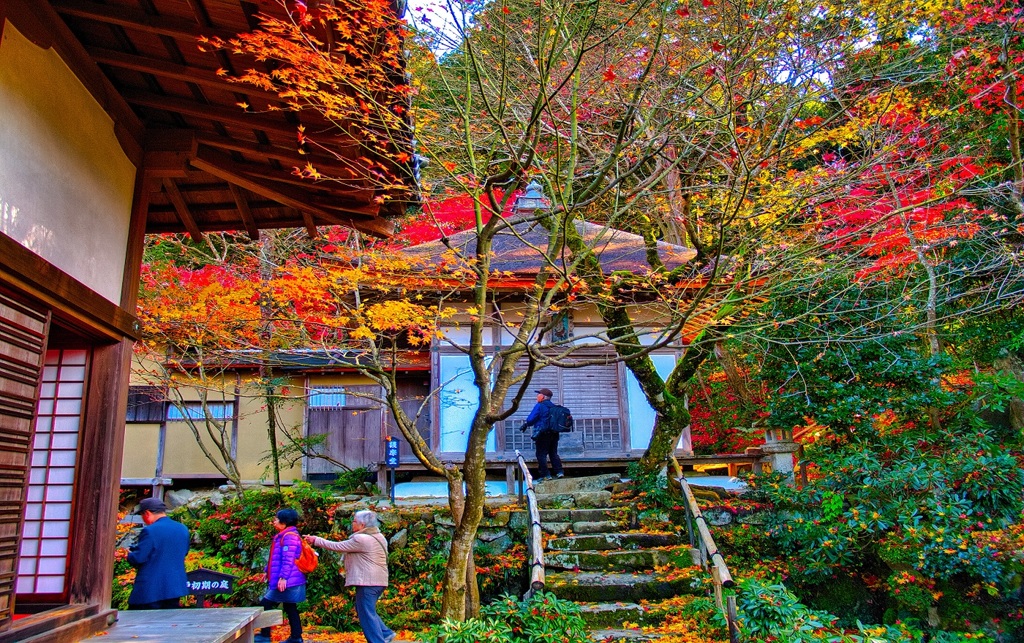 風景２８６ 寺　秋