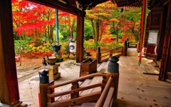 風景２７３ 寺　秋