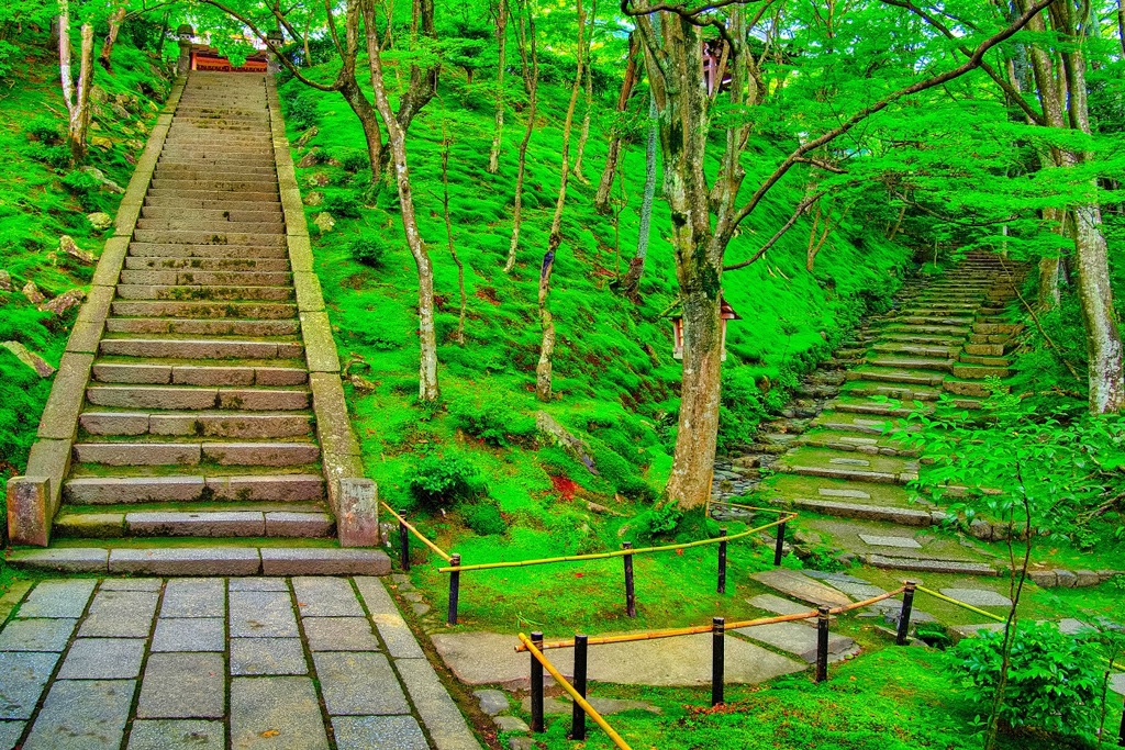 日本風景８１１　京都　寺