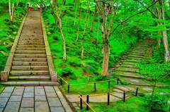 日本風景８１１　京都　寺