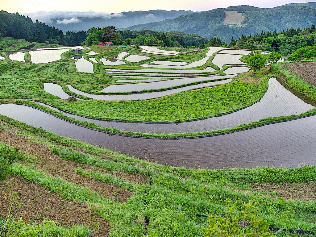 日本風景１０６２　棚田