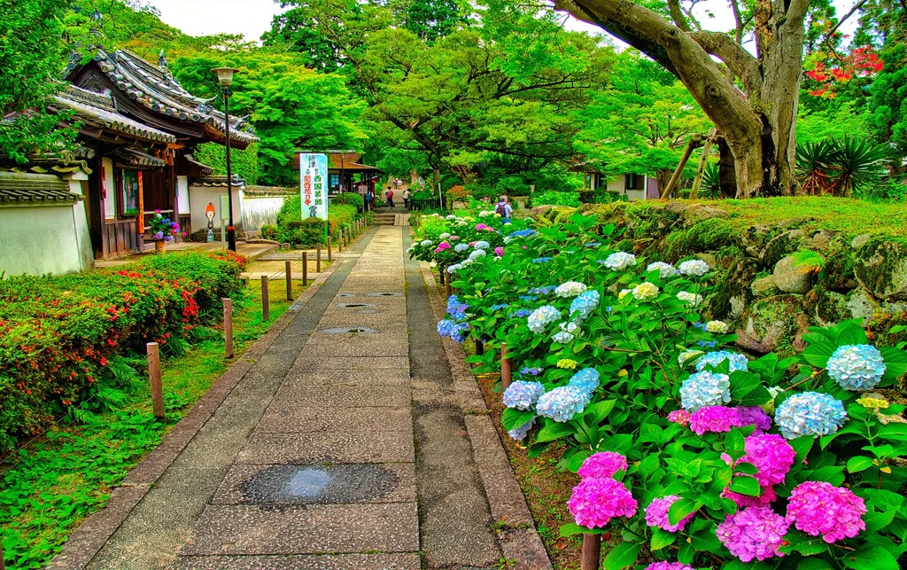 風景６８９　寺　庭