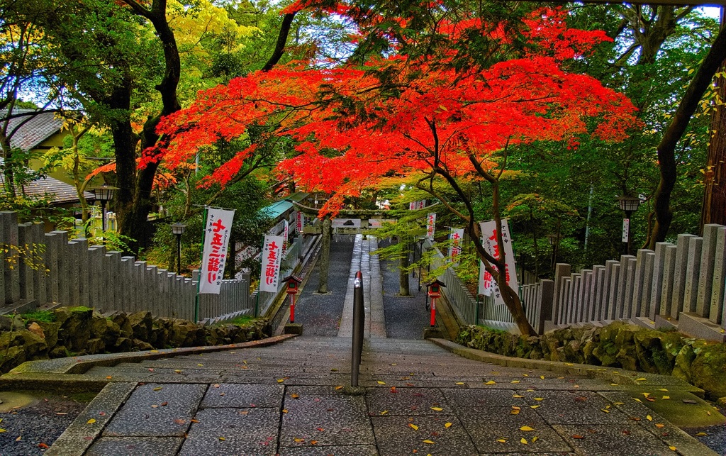 風景２９８ 寺　秋