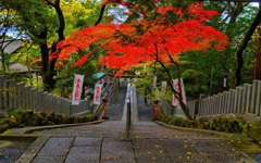 風景２９８ 寺　秋