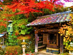 風景２４４ 寺　秋