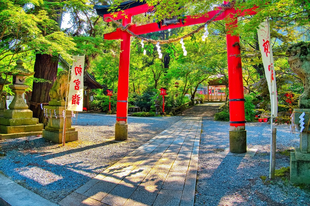 日本風景８１８　京都　神社