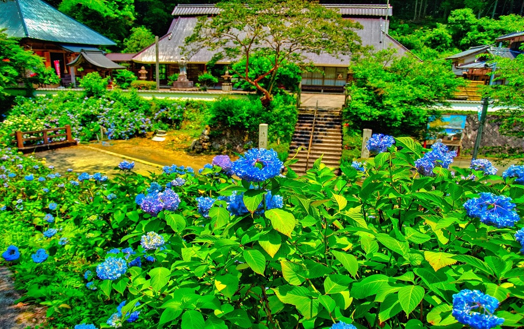 風景６８６　山寺　庭