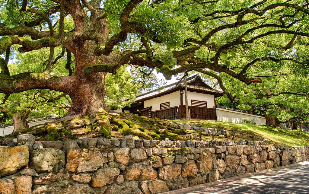 風景６６０　京都