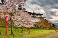 日本風景９０６　桜と城