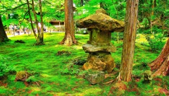 日本風景７２８　京都　庭
